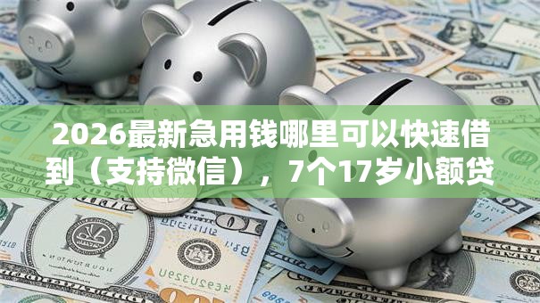 2026最新急用钱哪里可以快速借到（支持微信），7个17岁小额贷款平台无私分享
