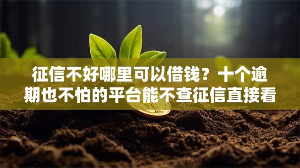 征信不好哪里可以借钱？十个逾期也不怕的平台能不查征信直接看出来借款额度