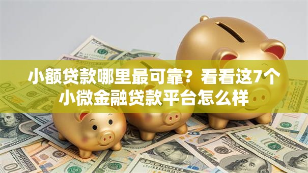 小额贷款哪里最可靠?看看这7个小微金融贷款平台怎么样 小额贷款哪里最可靠?看看这7个小微金融贷款平台怎么样