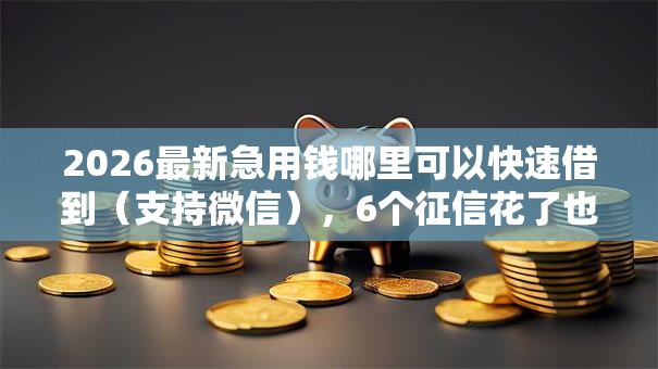 2026最新急用钱哪里可以快速借到(支持微信),6个征信花了也能下款的平台无私分享 2026最新急用钱哪里可以快速借到(支持微信),6个征信花了也能下款的平台无私分享