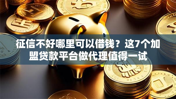 征信不好哪里可以借钱？这7个加盟贷款平台做代理值得一试