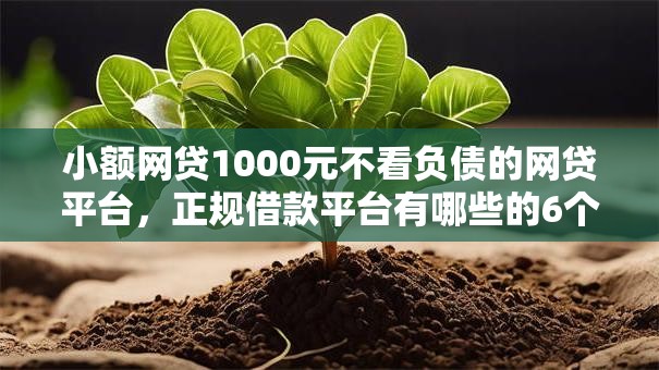 小额网贷1000元不看负债的网贷平台,正规借款平台有哪些的6个平台介绍 小额网贷1000元不看负债的网贷平台,正规借款平台有哪些的6个平台介绍