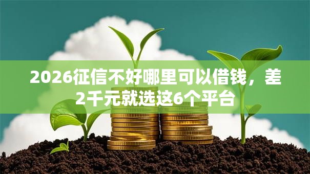 2026征信不好哪里可以借钱，差2千元就选这6个平台