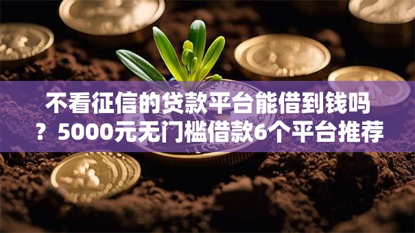 不看征信的贷款平台能借到钱吗？5000元无门槛借款6个平台推荐