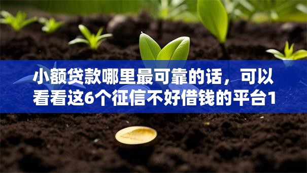 小额贷款哪里最可靠的话，可以看看这6个征信不好借钱的平台100%能借到