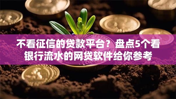 不看征信的贷款平台？盘点5个看银行流水的网贷软件给你参考