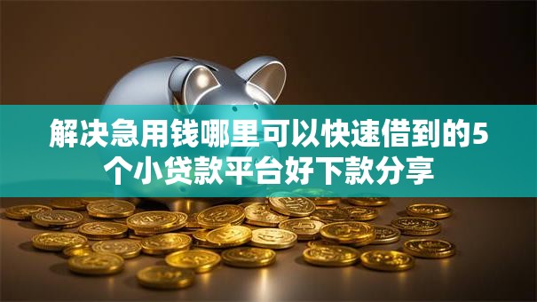 解决急用钱哪里可以快速借到的5个小贷款平台好下款分享