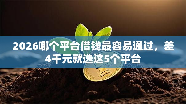 2026哪个平台借钱最容易通过，差4千元就选这5个平台