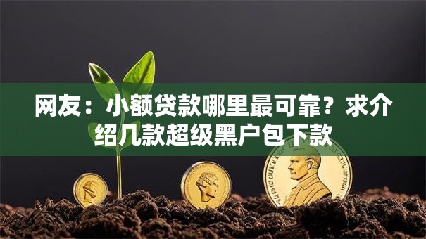 网友:小额贷款哪里最可靠?求介绍几款超级黑户包下款 网友:小额贷款哪里最可靠?求介绍几款超级黑户包下款