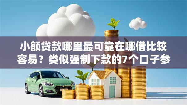 小额贷款哪里最可靠在哪借比较容易？类似强制下款的7个口子参考