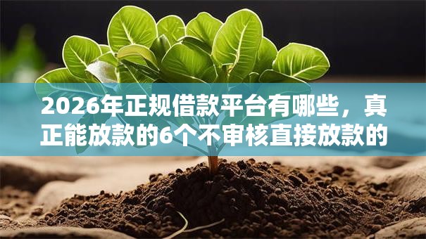 2026年正规借款平台有哪些，真正能放款的6个不审核直接放款的平台推荐