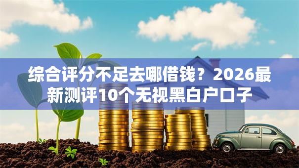 综合评分不足去哪借钱？2026最新测评10个无视黑白户口子