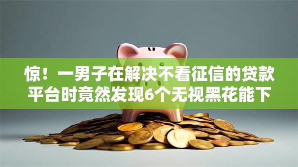 惊！一男子在解决不看征信的贷款平台时竟然发现6个无视黑花能下款一万元口子，事后分享了出来