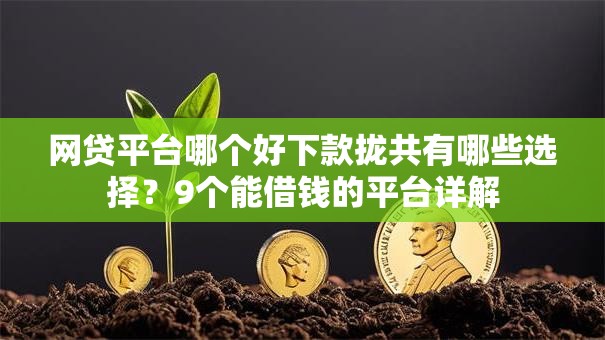 网贷平台哪个好下款拢共有哪些选择？9个能借钱的平台详解