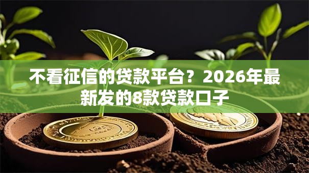 不看征信的贷款平台？2026年最新发的8款贷款口子