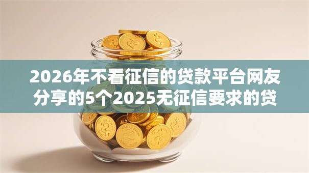 2026年不看征信的贷款平台网友分享的5个2025无征信要求的贷款平台我觉得不错！