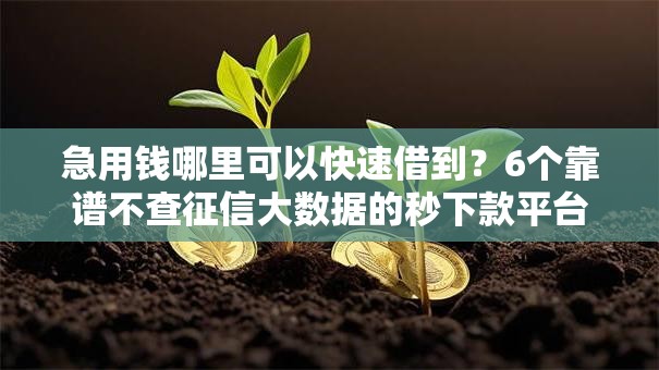 急用钱哪里可以快速借到？6个靠谱不查征信大数据的秒下款平台推荐