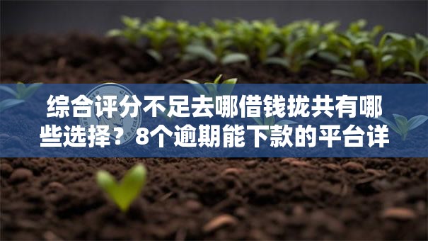 综合评分不足去哪借钱拢共有哪些选择？8个逾期能下款的平台详解