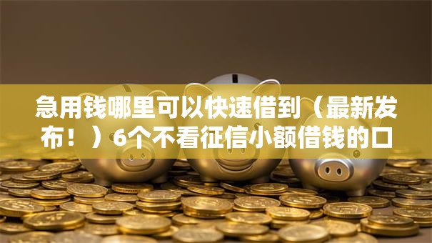 急用钱哪里可以快速借到（最新发布！）6个不看征信小额借钱的口子