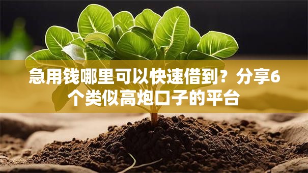 急用钱哪里可以快速借到？分享6个类似高炮口子的平台