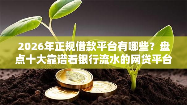 2026年正规借款平台有哪些？盘点十大靠谱看银行流水的网贷平台