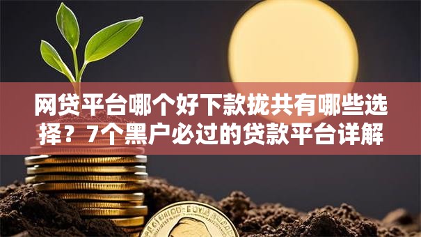 网贷平台哪个好下款拢共有哪些选择？7个黑户必过的贷款平台详解