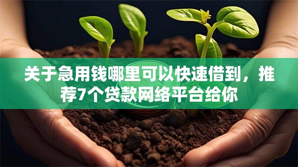关于急用钱哪里可以快速借到,推荐7个贷款网络平台给你 关于急用钱哪里可以快速借到,推荐7个贷款网络平台给你