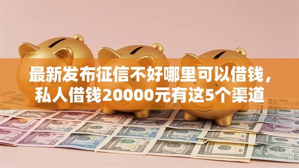 最新发布征信不好哪里可以借钱，私人借钱20000元有这5个渠道