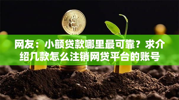 网友:小额贷款哪里最可靠?求介绍几款怎么注销网贷平台的账号 网友:小额贷款哪里最可靠?求介绍几款怎么注销网贷平台的账号