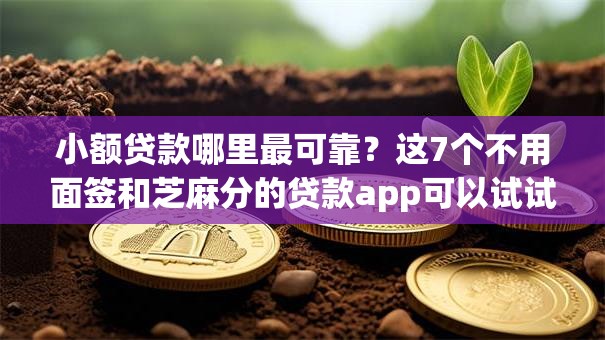 小额贷款哪里最可靠?这7个不用面签和芝麻分的贷款app可以试试 小额贷款哪里最可靠?这7个不用面签和芝麻分的贷款app可以试试