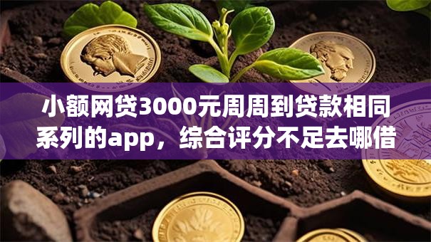 小额网贷3000元周周到贷款相同系列的app，综合评分不足去哪借钱的6个平台介绍