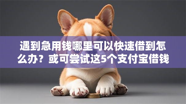 遇到急用钱哪里可以快速借到怎么办？或可尝试这5个支付宝借钱平台