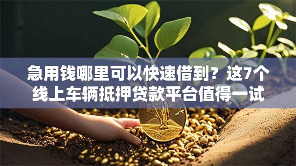 急用钱哪里可以快速借到?这7个线上车辆抵押贷款平台值得一试 急用钱哪里可以快速借到?这7个线上车辆抵押贷款平台值得一试