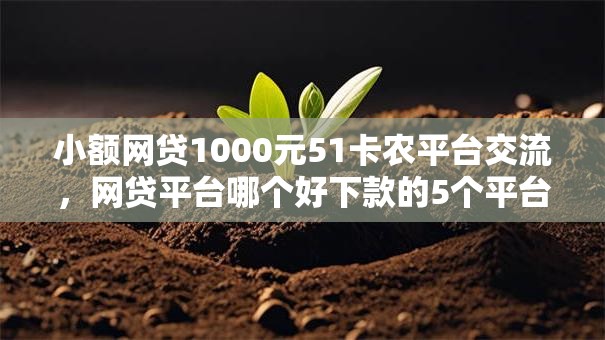 小额网贷1000元51卡农平台交流，网贷平台哪个好下款的5个平台介绍