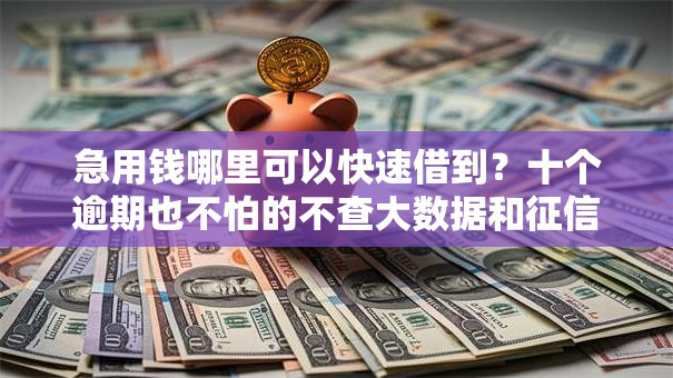 急用钱哪里可以快速借到?十个逾期也不怕的不查大数据和征信的贷款平台 急用钱哪里可以快速借到?十个逾期也不怕的不查大数据和征信的贷款平台