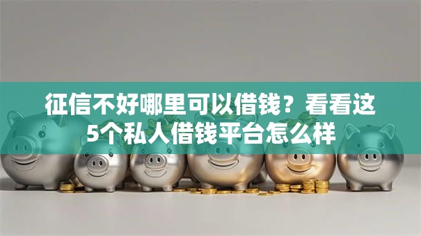 征信不好哪里可以借钱?看看这5个私人借钱平台怎么样 征信不好哪里可以借钱?看看这5个私人借钱平台怎么样