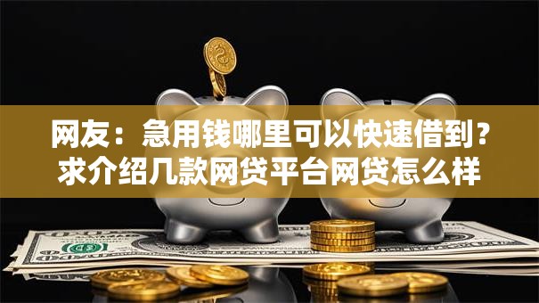 网友:急用钱哪里可以快速借到?求介绍几款网贷平台网贷怎么样 网友:急用钱哪里可以快速借到?求介绍几款网贷平台网贷怎么样
