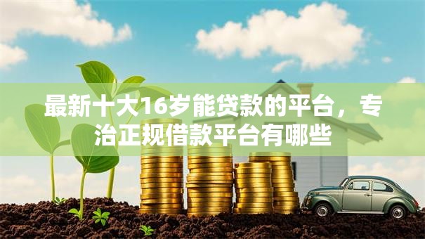 最新十大16岁能贷款的平台，专治正规借款平台有哪些