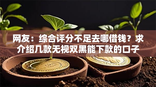 网友：综合评分不足去哪借钱？求介绍几款无视双黑能下款的口子