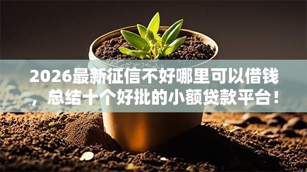 2026最新征信不好哪里可以借钱，总结十个好批的小额贷款平台！