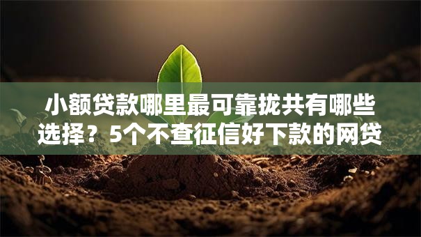 小额贷款哪里最可靠拢共有哪些选择？5个不查征信好下款的网贷平台详解