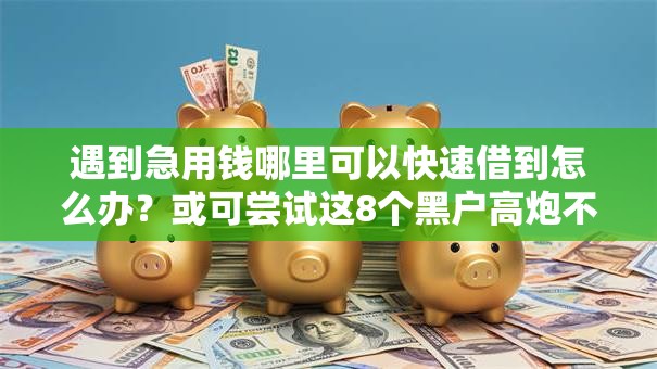 遇到急用钱哪里可以快速借到怎么办？或可尝试这8个黑户高炮不审核的口子