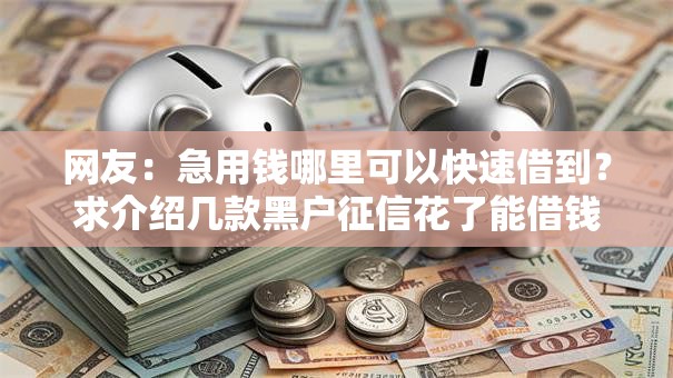 网友：急用钱哪里可以快速借到？求介绍几款黑户征信花了能借钱的平台