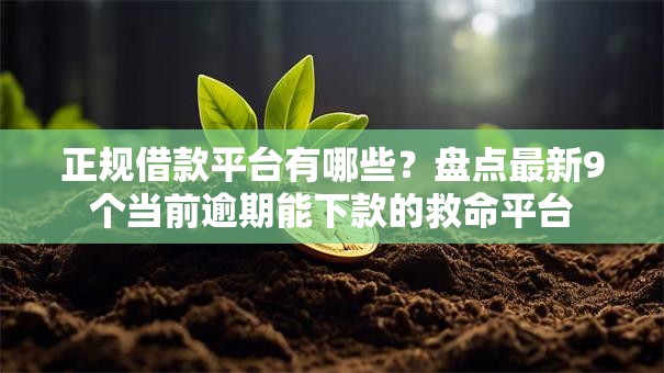 正规借款平台有哪些？盘点最新9个当前逾期能下款的救命平台