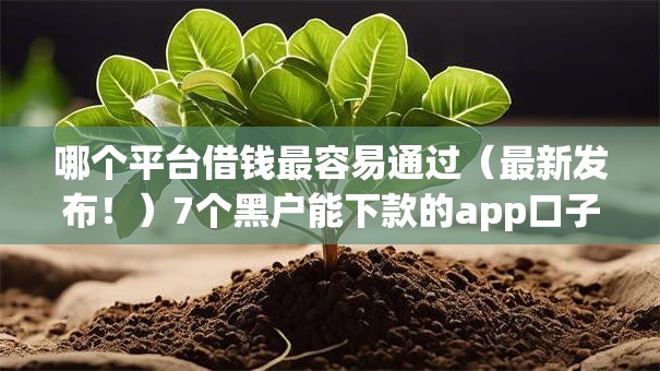 哪个平台借钱最容易通过（最新发布！）7个黑户能下款的app口子入口
