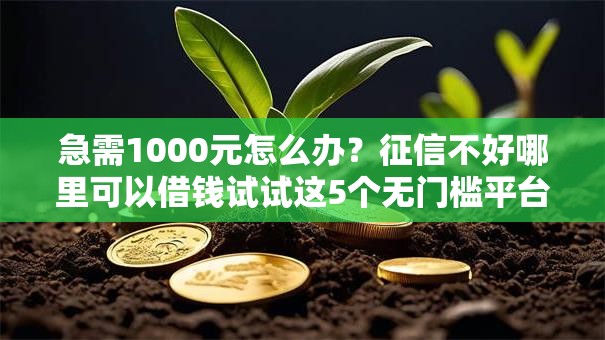 急需1000元怎么办？征信不好哪里可以借钱试试这5个无门槛平台