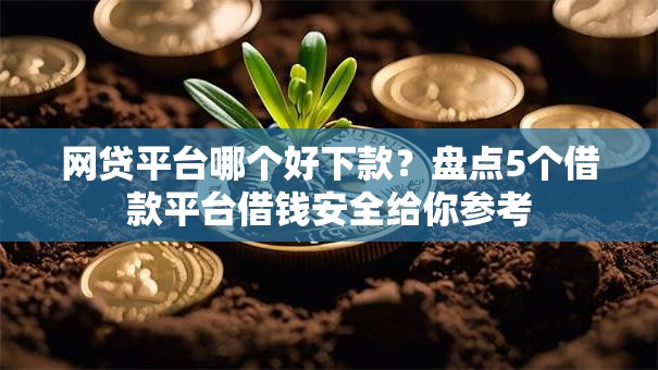 网贷平台哪个好下款？盘点5个借款平台借钱安全给你参考