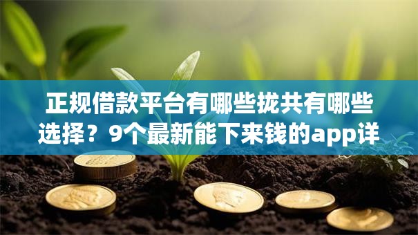 正规借款平台有哪些拢共有哪些选择？9个最新能下来钱的app详解