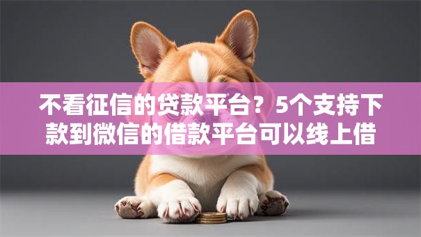 不看征信的贷款平台？5个支持下款到微信的借款平台可以线上借钱