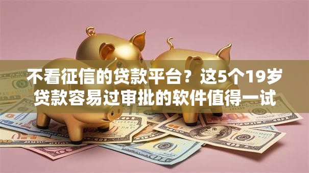 不看征信的贷款平台？这5个19岁贷款容易过审批的软件值得一试